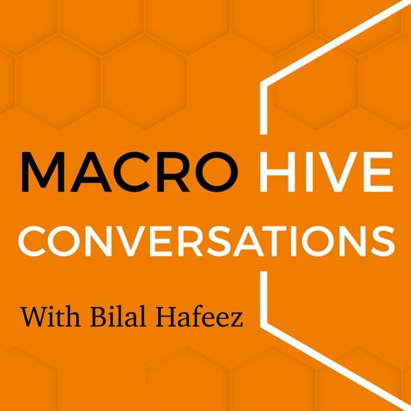 Artwork for Macro Hive Conversations With Bilal Hafeez