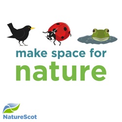 Nature's reset: using social media to get outdoors more, with digital creator Chris Lawlor