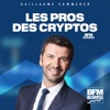 Les Pros des Cryptos