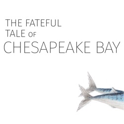 The Fateful Tale of Chesapeake Bay - Episode Two: The Seabed
