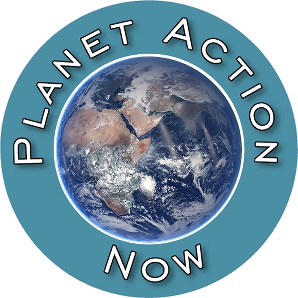 Planet Action Now: Encouraging Individual action toward climate change Artwork
