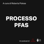Processo PFAS - The Skill Group