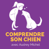 Comprendre son chien - Comprendre son chien