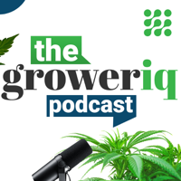 Cannabis Globalization (with Mike Patterson)
