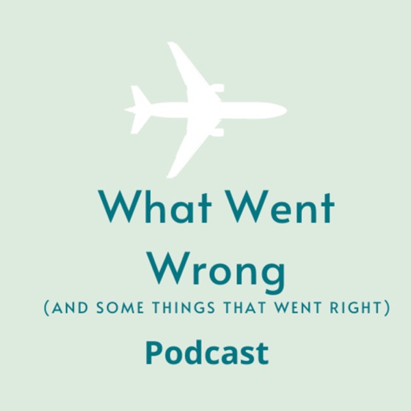 What Went Wrong (And Some Things That Went Right) Artwork