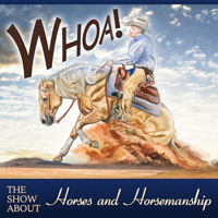 Andy Johnson Horsemanship