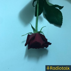 #112 圧迫面接にしょげた/お返しトーク from Radiotalk