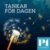 Tankar för dagen