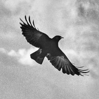 The Ghosts of Harrenhal: A Song of Ice and Fire Podcast (ASOIAF) podcast