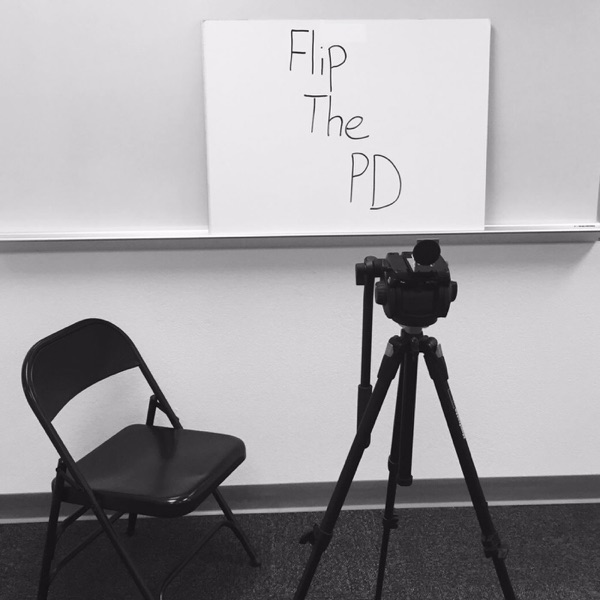 Flip the PD Artwork