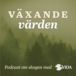 Växande värden