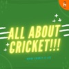 All About Cricket artwork