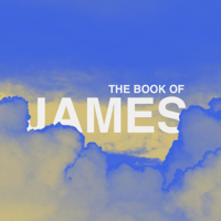 James 1:26-27
