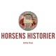 Horsens Historier