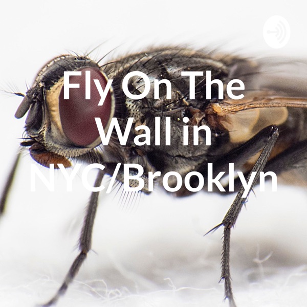 Fly By The Wall in NYC/Best Of The Moment Recordings Artwork