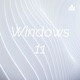 Windows11