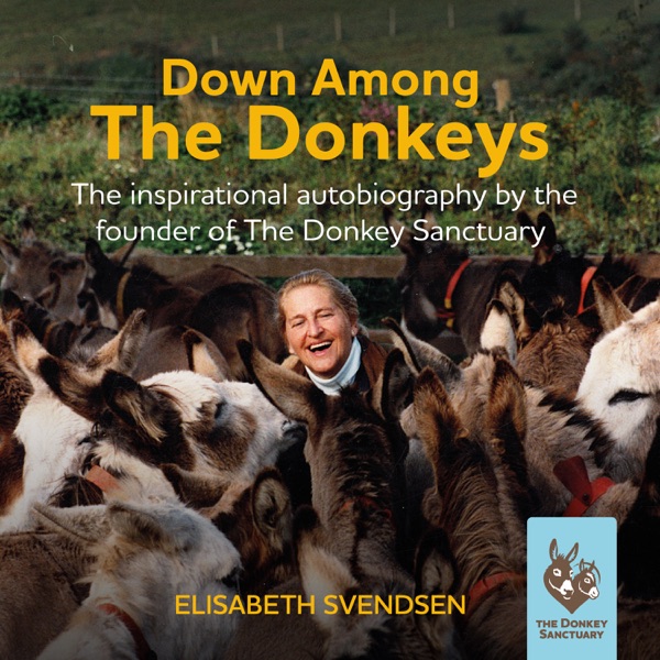 Down Among The Donkeys Artwork