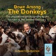 Down Among The Donkeys