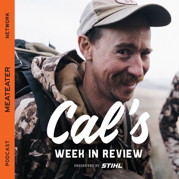 Cal's Week in Review Artwork