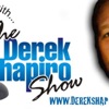 Derek Shapiro Show artwork