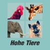 Hohe Tiere