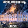 Capitol Insurrection Report artwork