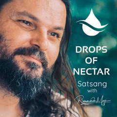 Drops of Nectar - Satsang with Ramananda Mayi
