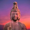 The Relaxation Oasis - ASMR, Meditation Music, Sleeping Music, Zen, Lucid Dreaming and more