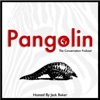 Pangolin: The Conservation Podcast artwork