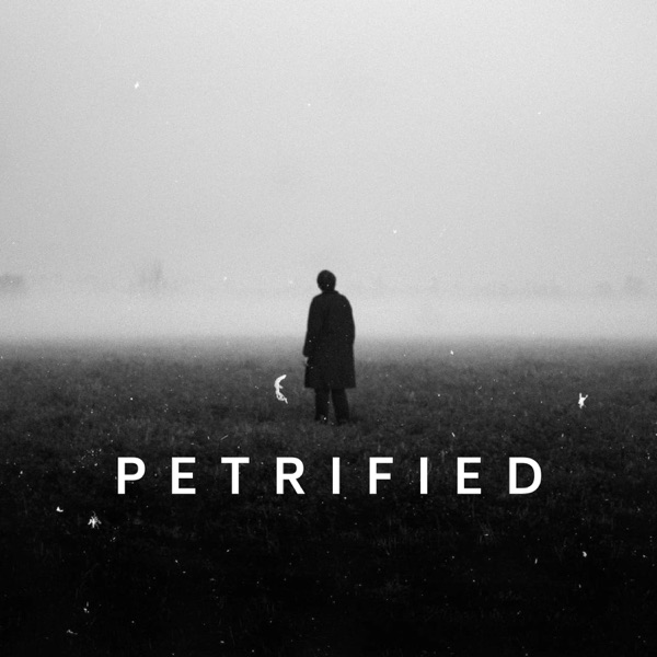 Petrified Artwork