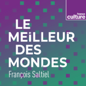 Le Meilleur des mondes - France Culture