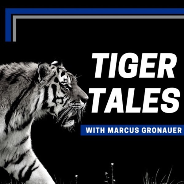 Tiger Tales Artwork