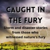 Caught In The Fury artwork