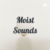 Moist Sounds artwork