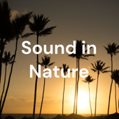 Sound in Nature Lite - SoundInNature