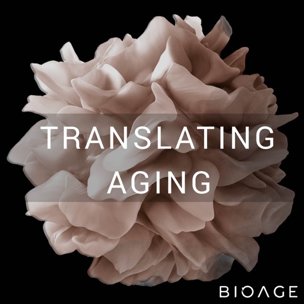 Translating Aging Artwork