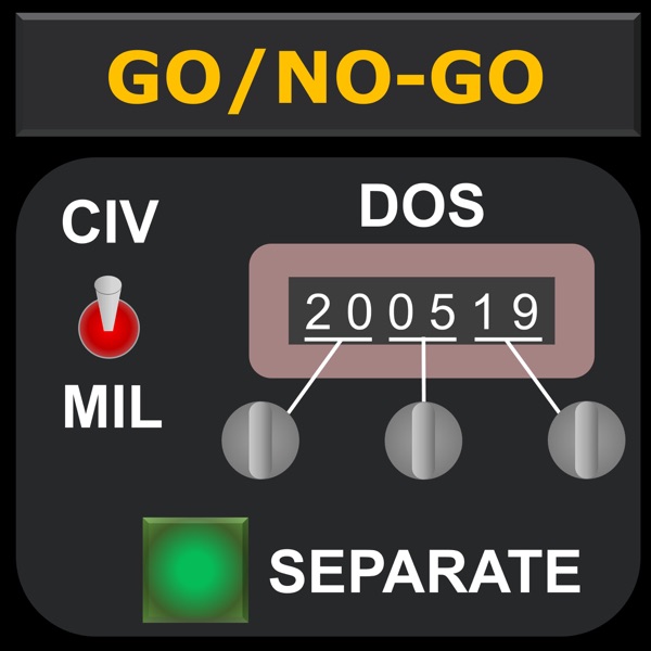 GO/NO-GO Aviation Artwork