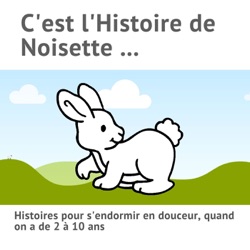 Noisette 72, Ginette la Mouette a perdu ses plumes !