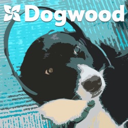The Dogwood Podcast