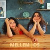 MELLEM OS