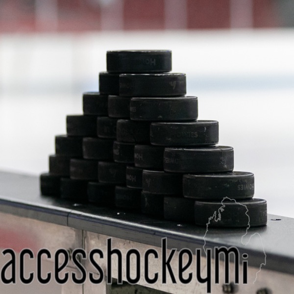 Access Hockey MI Artwork