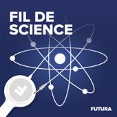 Fil de Science, l'actu des sciences par Futura - Futura