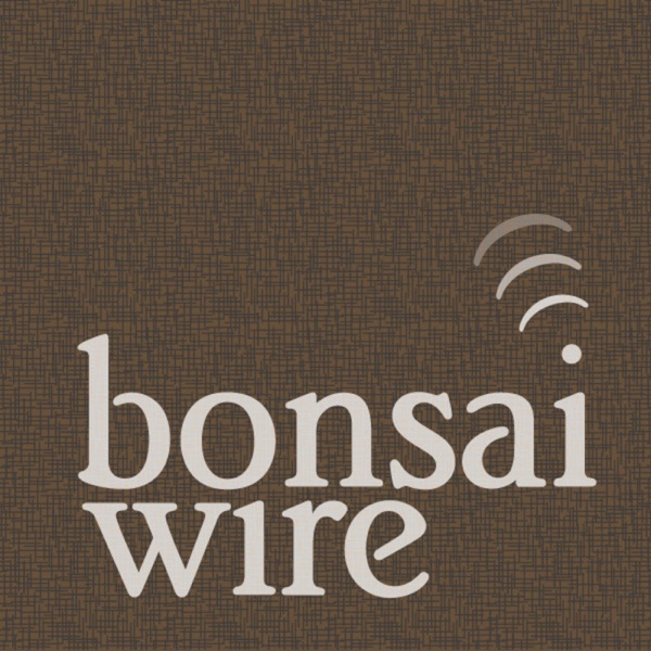 Bonsai Wire Artwork