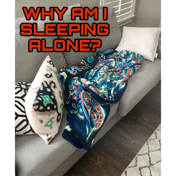 Why Am I Sleeping Alone Artwork