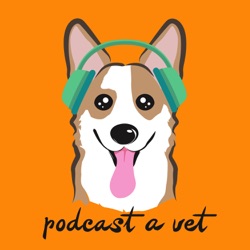 Rebroadcast: How To Become An Expert In A Specialized Veterinary Field w/ Dr. Myra Barrett