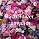 Bach flower remedies