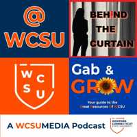 WCSU 411 Paul Steinmetz & Brian Luke Seaward