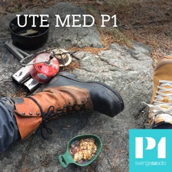 Med torrdräkt under isen