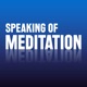 Megha Mohan, BBC Correspondent, Writer — Speaking of Meditation