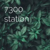 7300 station artwork